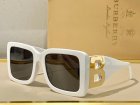Burberry High Quality Sunglasses 179