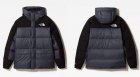 The North Face Men's Outerwears 246