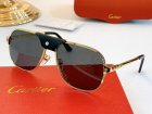 Cartier High Quality Sunglasses 943