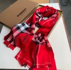 Burberry Scarves 292