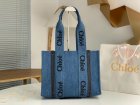Chloe Original Quality Handbags 269