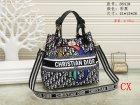 DIOR Normal Quality Handbags 61