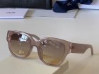 DIOR High Quality Sunglasses 1237