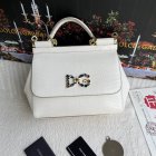 Dolce & Gabbana High Quality Handbags 230