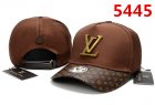 Louis Vuitton Normal Quality Hats 72