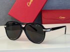 Cartier High Quality Sunglasses 1613