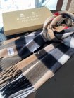 Burberry Scarves 266