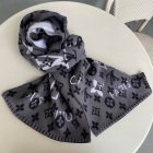 Louis Vuitton Scarves 44