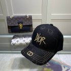 DIOR Hats 35