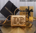Dolce & Gabbana Original Quality Handbags 192
