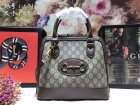 Gucci High Quality Handbags 1617