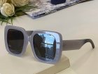 DIOR High Quality Sunglasses 1295