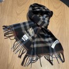 Burberry Scarves 103