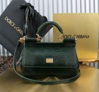Dolce & Gabbana High Quality Handbags 585