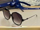 DIOR High Quality Sunglasses 1524