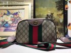 Gucci High Quality Handbags 1134