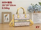 DIOR Normal Quality Handbags 106
