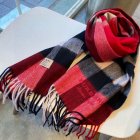 Burberry Scarves 230