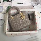 DIOR High Quality Handbags 890