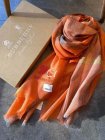 Burberry Scarves 317