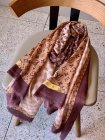 Louis Vuitton Scarves 160