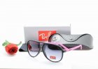 Ray-Ban Normal Quality Sunglasses 107
