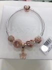 Pandora Jewelry 301