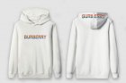 Burberry Men's Hoodies 128