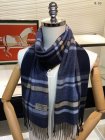 Burberry Scarves 55