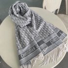 DIOR Scarves 44