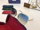 Gucci High Quality Sunglasses 1249