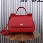 Dolce & Gabbana High Quality Handbags 713