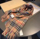 Burberry Scarves 369