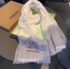 Burberry Scarves 328