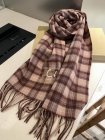 Burberry Scarves 209