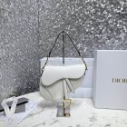 DIOR Original Quality Handbags 666