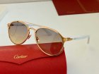 Cartier High Quality Sunglasses 564