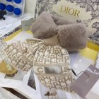 DIOR Scarves 222