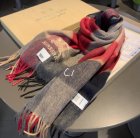 Burberry Scarves 226