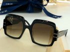 DIOR High Quality Sunglasses 1089