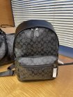 Coach High Quality Handbags 130