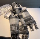 DIOR Scarves 131
