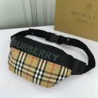 Burberry High Quality Handbags 216