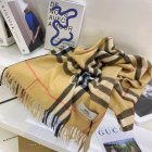 Burberry Scarves 470