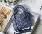 DIOR Original Quality Handbags 1081