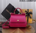 Dolce & Gabbana High Quality Handbags 668