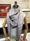 DIOR Scarves 152