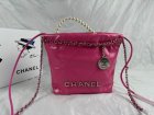 Chanel High Quality Handbags 1166