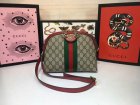 Gucci High Quality Handbags 2121