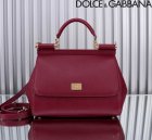 Dolce & Gabbana High Quality Handbags 712